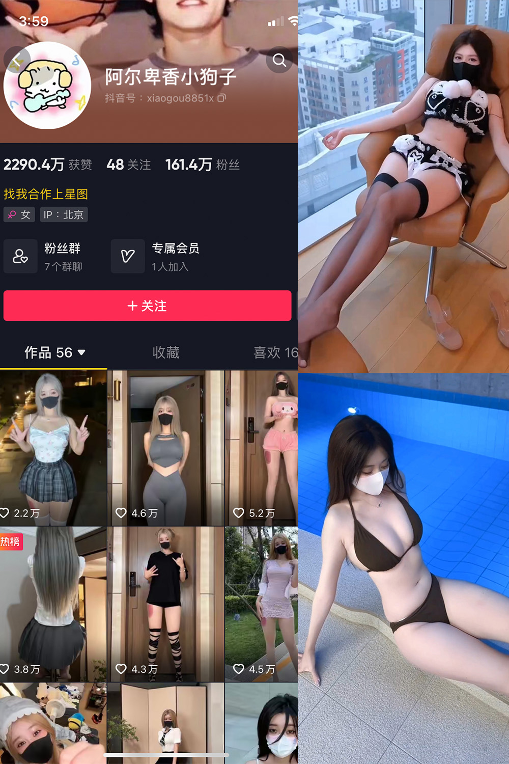 抖音 阿尔卑香小狗子 微密圈  NO.062期 【8V】最新至：2025.5.22-微觅圈